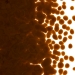 Umber Opalescent, Frit, Fusible - 000310-0001-F-P001