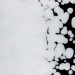 White Opalescent, Frit, Fusible - 000113-0001-F-P001