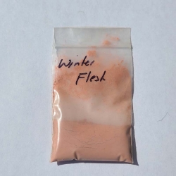 Winter Flesh 