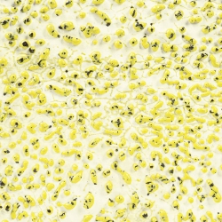 AMACO Speckled Yellow Crawl ceramic glaze