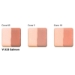 Salmon - V 323-002