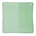 Pistachio - V 347-002