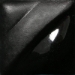 Black - V 361-002