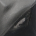 Ultra Black - V 362-002