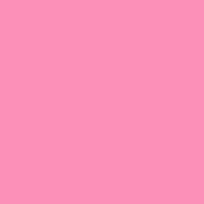 Shell Pink 