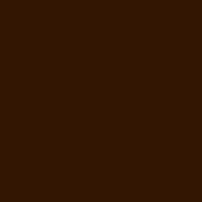 Seal Brown 