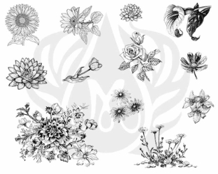 Flowers 2 