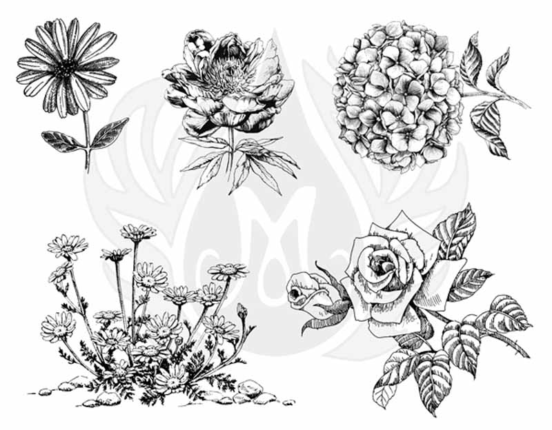 Flowers 3 XL 
