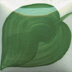 IVY GREEN 