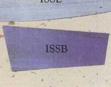Industrial Steel Scraper 