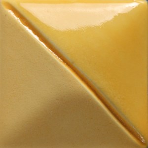 Squash Yellow 