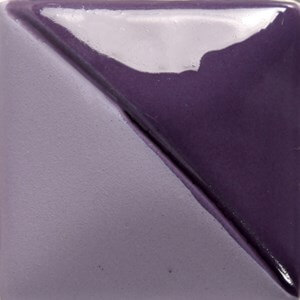 Pansy Purple 