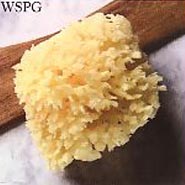 Wool Sea Sponge, 3 Inch 