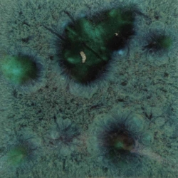 PEACOCK GREEN 