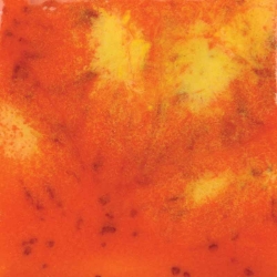 Wildfire 
