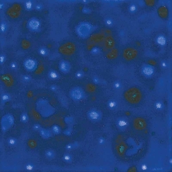 Lagoon Blue 