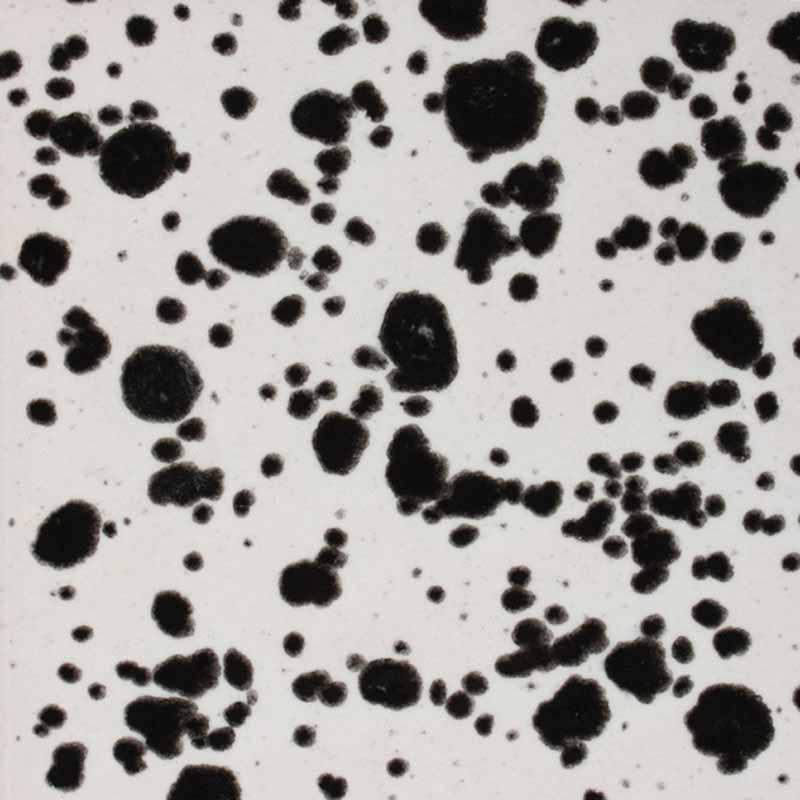 Ink Spots 