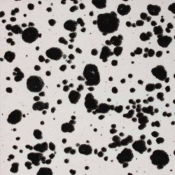 Ink Spots 