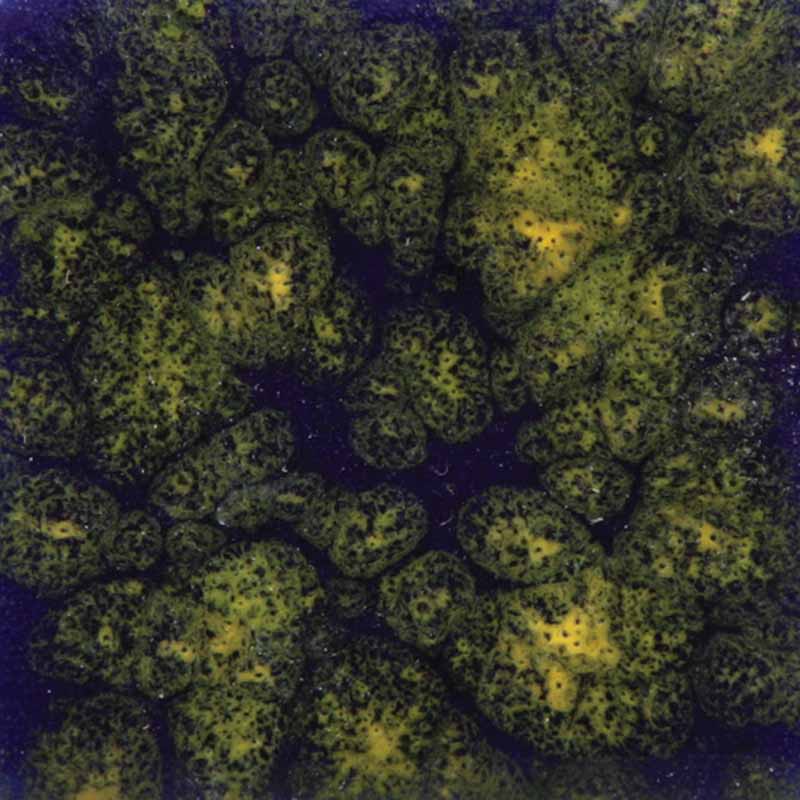 Starry Night 