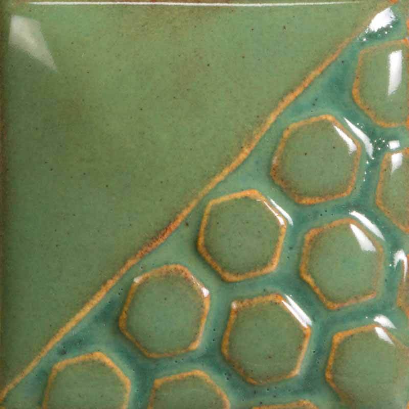 Turtle Shell 
