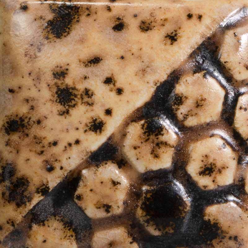 Spotted Walnut 
