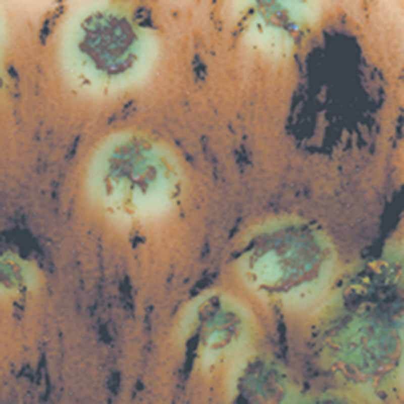 Cappuccino Mint 