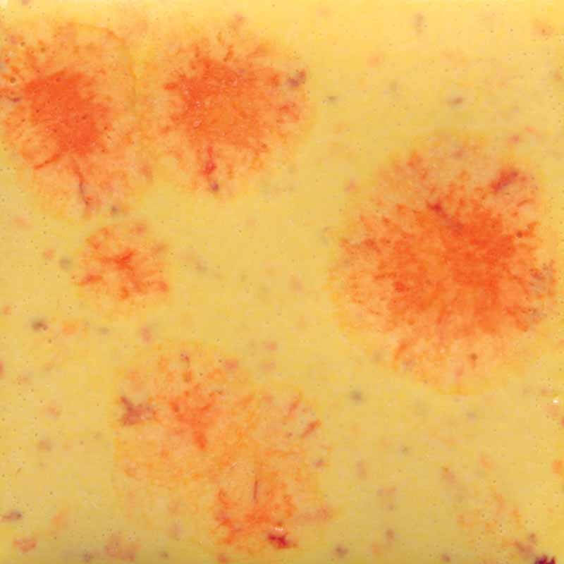 Citrus Splash 